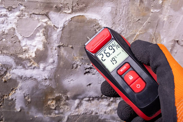Best Commercial Mold Removal  in Beaver, OK